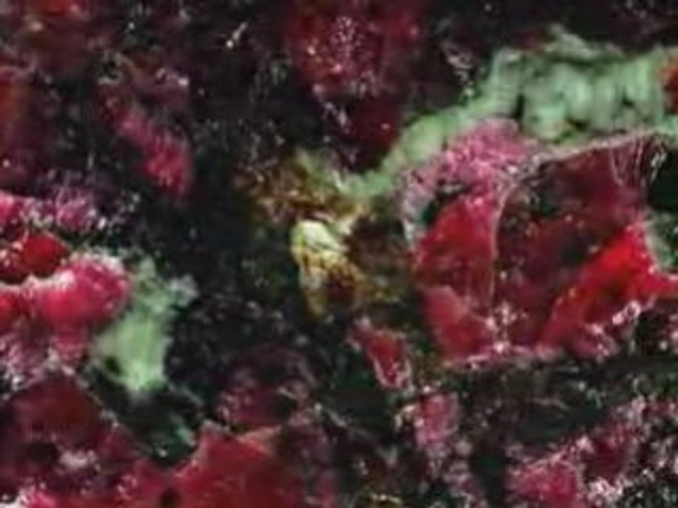 "Roches et Merveilles"