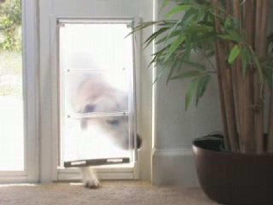 Safe Doggie Door for Glass Doors