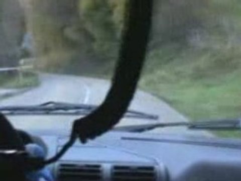 rallye noix grenoble 2008 n°152