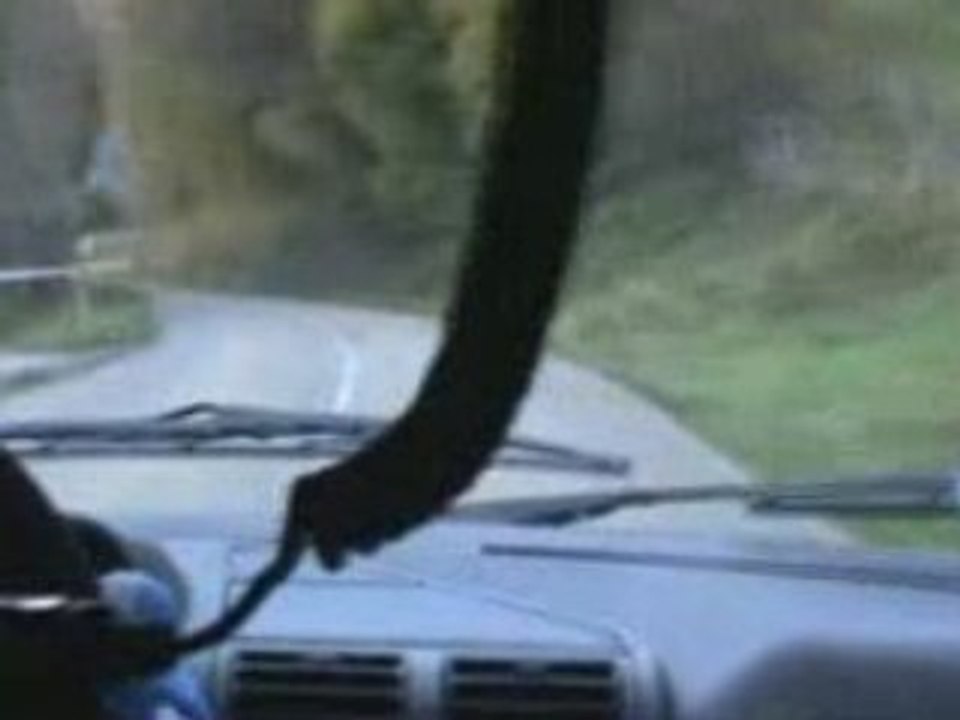 rallye noix grenoble 2008 n°152