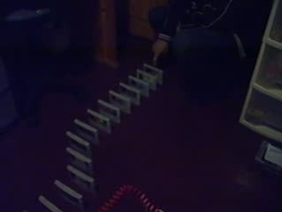 Domino