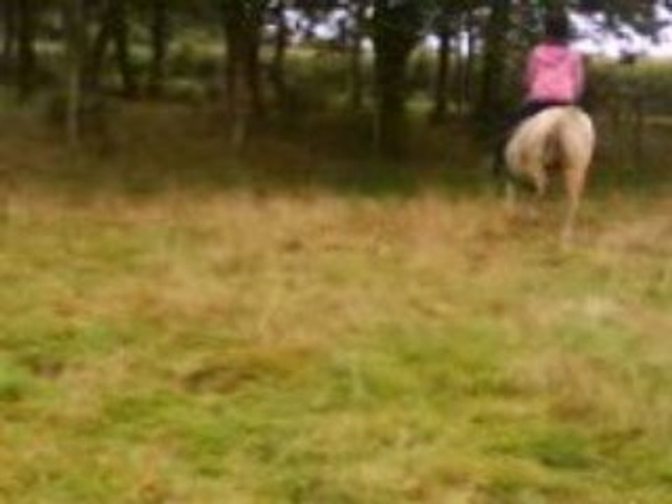 Saut_2