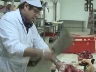 Tout est bon dans le cochon