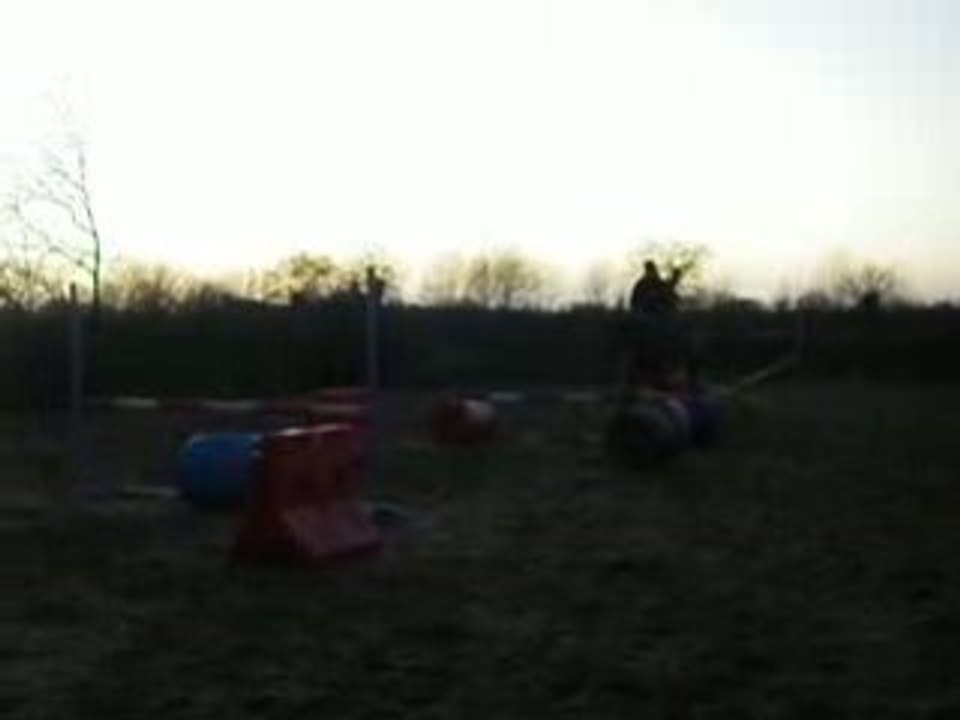 IMGP0812