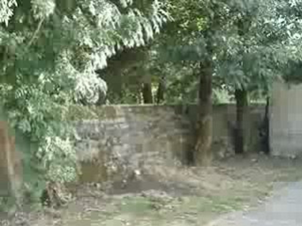 jolie marche en trial