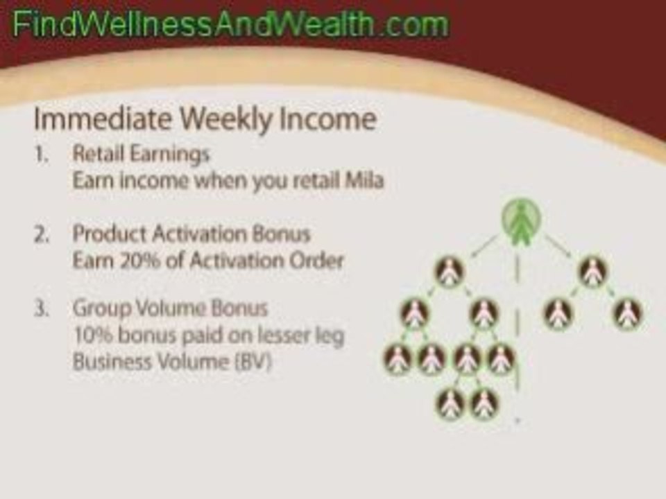LifeMax Business Opportunity Presentation 2 of 3