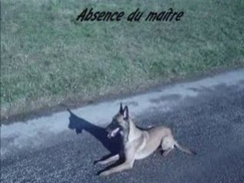 Entrainement obé RCI Calamite