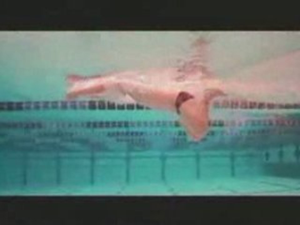 Natation brasse 1