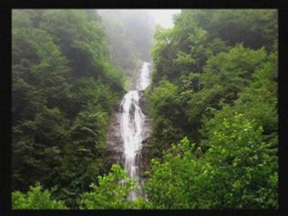 Ayder-asiye-gökhan birben-kavrun.tr.gg