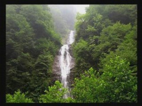 Ayder-asiye-gökhan birben-kavrun.tr.gg