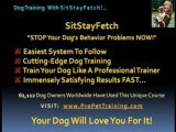 Stop Dog Barking FAST! Use our basic dog obedience training