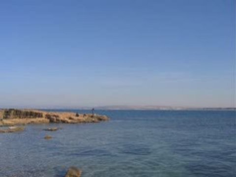 CHEIKH SNOUCI - LIVE A MOSTAGANEM