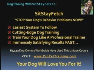 Tired of Dog Behavior Problems? Aggressive Dog?