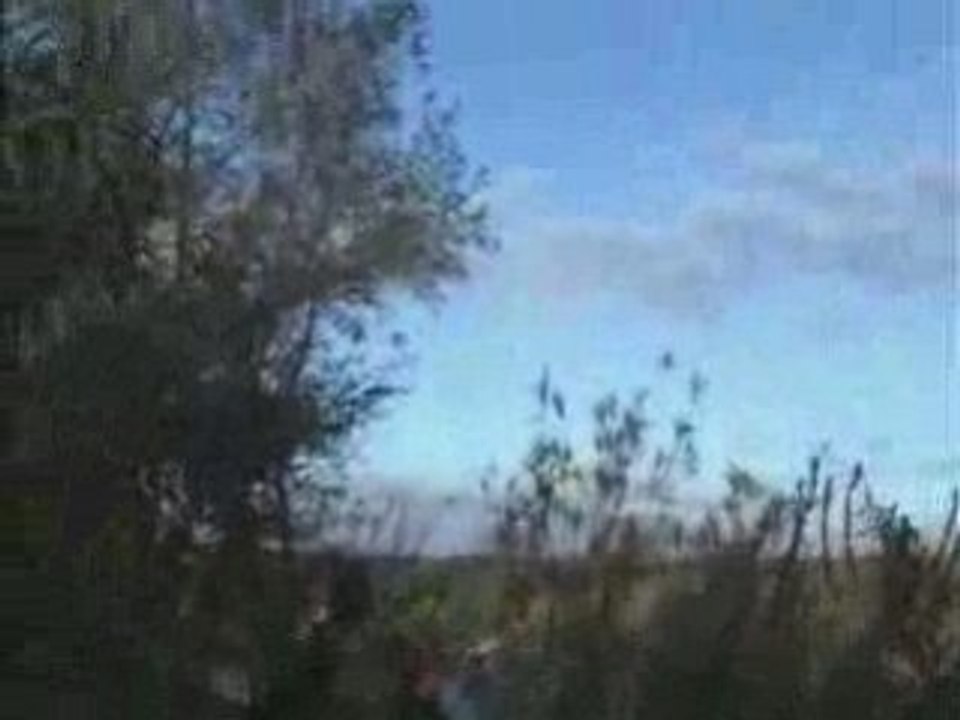 La chute du loup noir