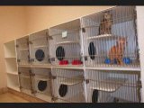 American Animal Care Center Animal Hospital Virtual Tour