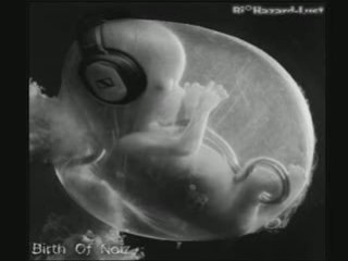 Birth of noïz - Bi°Hazard-Lust