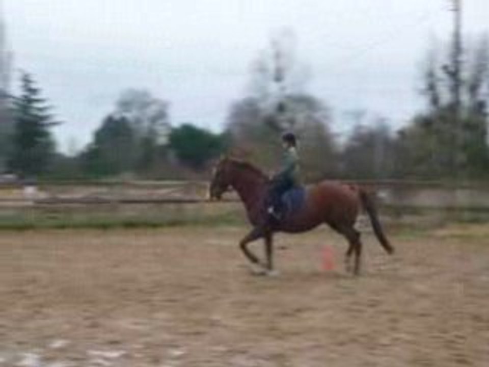 prince de casaba a vendre