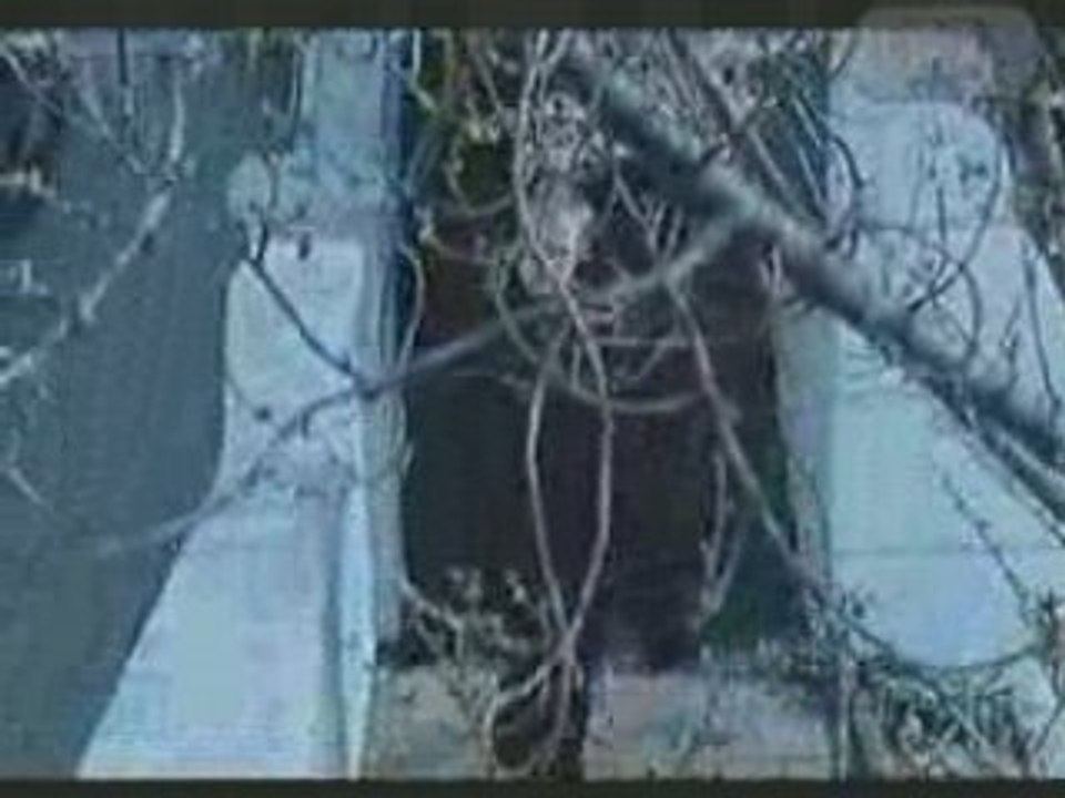 If Tomorrow Never Comes-Ronan Keating