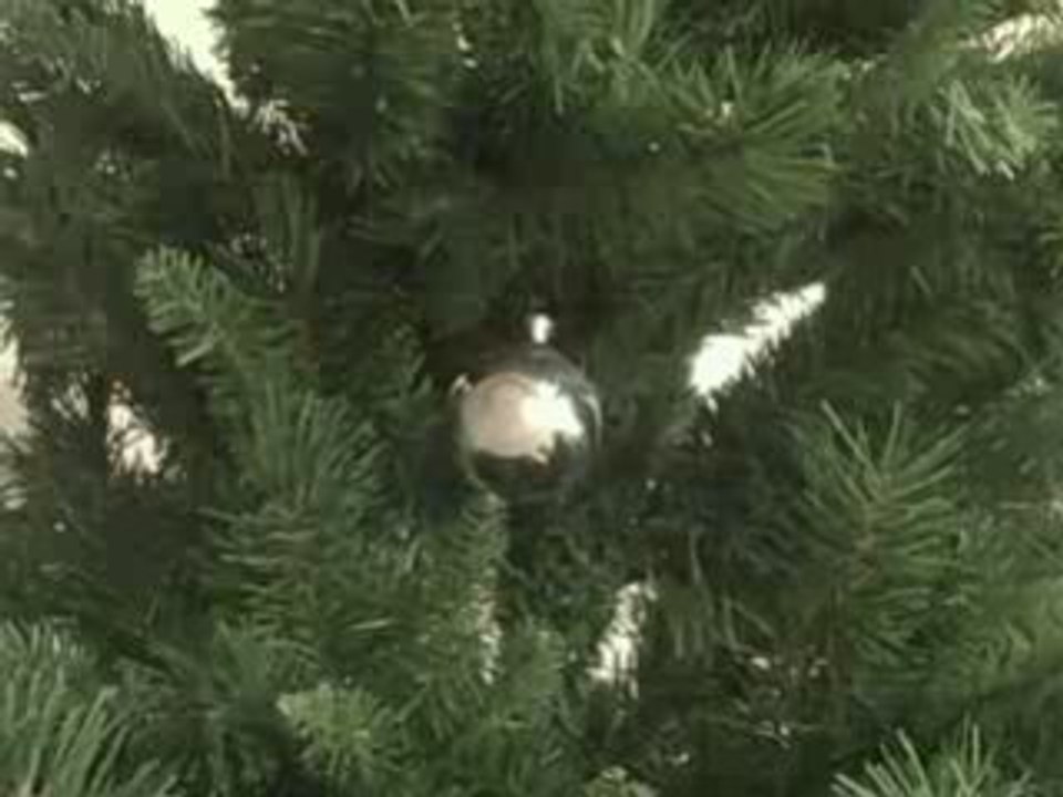 lonely Christmas ball