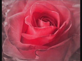 Canım Anne ve Babama ( Sana eller ne güzelsin demesin ...)