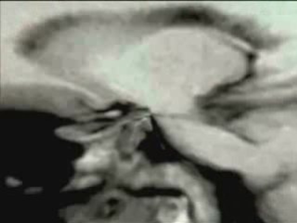 " RESONANCES " by ED-WAR