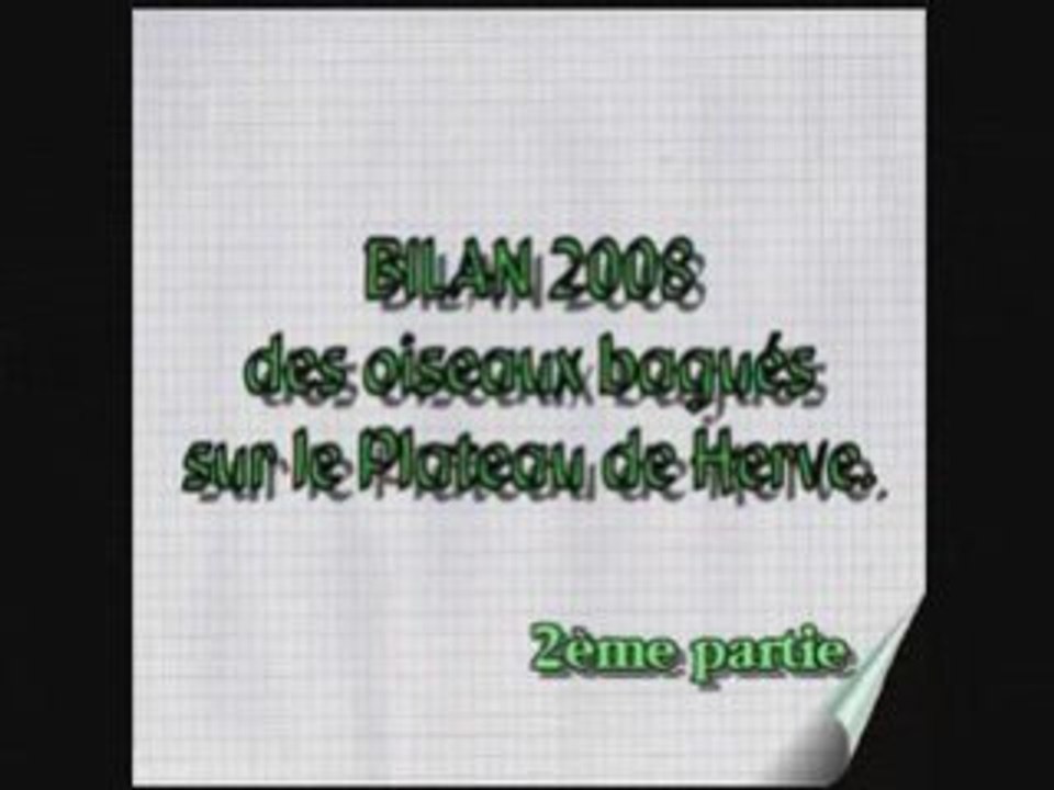 Bilan 2008 2me partie