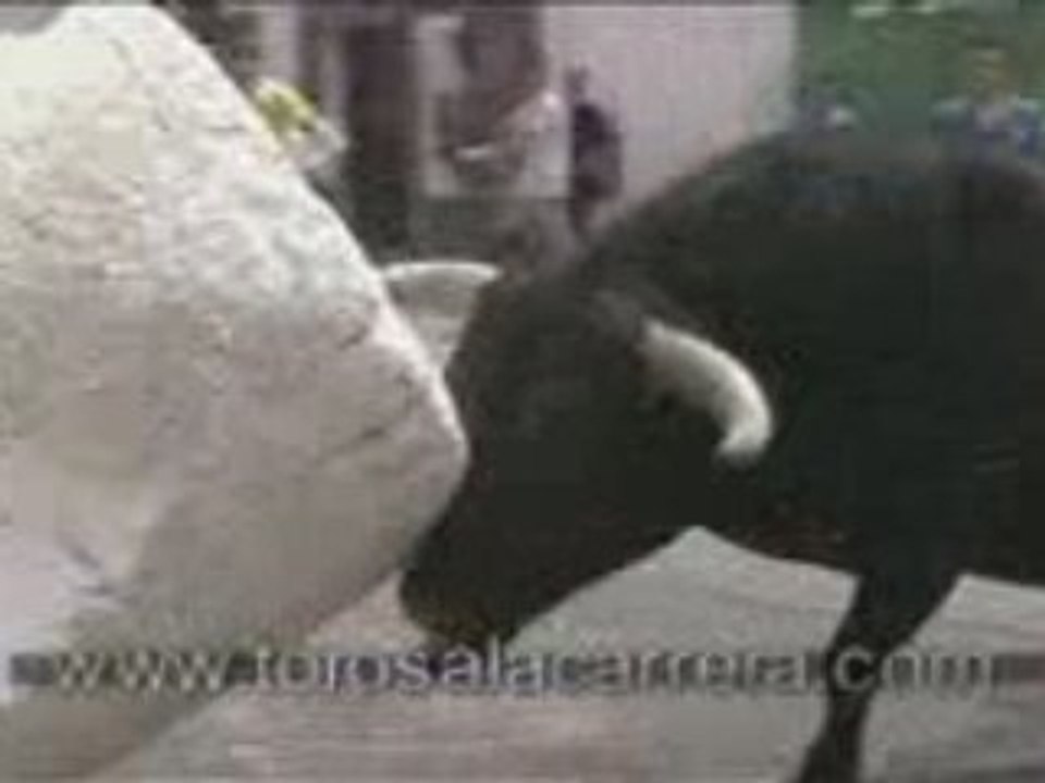 Toros a la Carrera 2005 1-PARTE