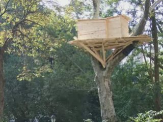 les refuges perchés