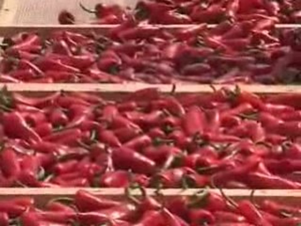 Agriculture_paysanne_partie4