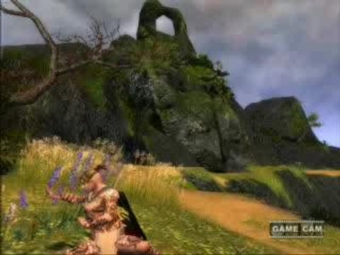 Guild Wars Monk Dance Flex