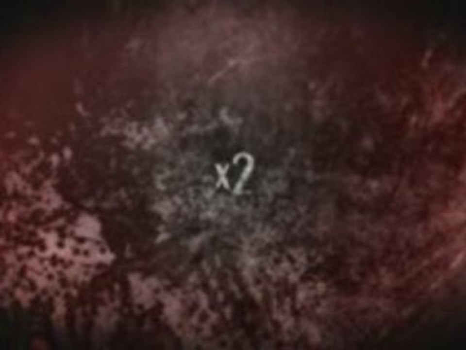 x2 trailer