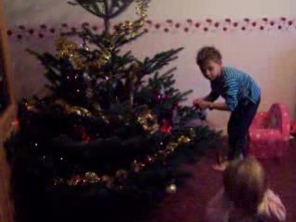 Sapin1