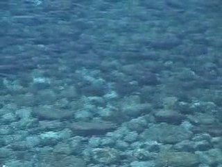 Cala Tarida Ibiza, ruta visual por G.P.S Hotels