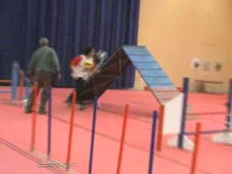 HUSKY AGILITY