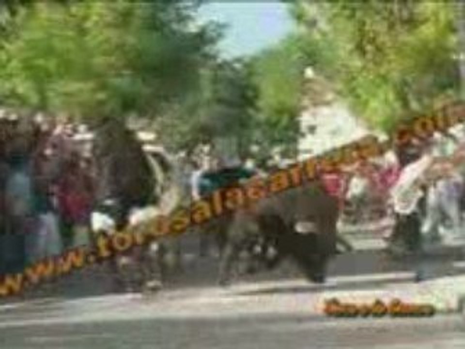 Toros a la Carrera 2006