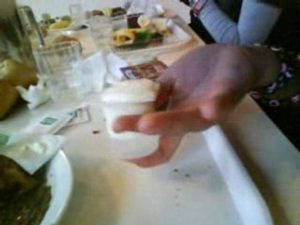 Une bande d'igwanes a la cantoche.