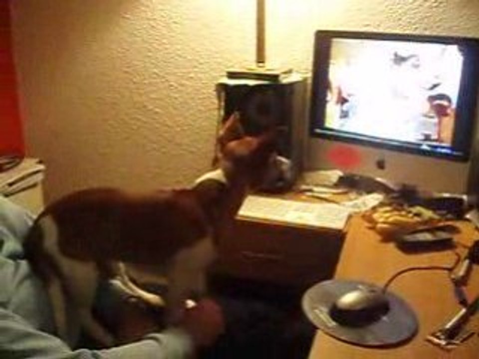 cody regarde la télé