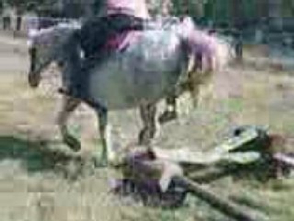 Saut_3