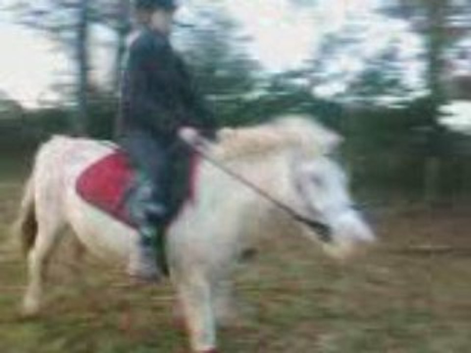 Saut_5