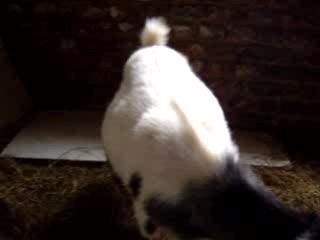 Blanchette bien ronde