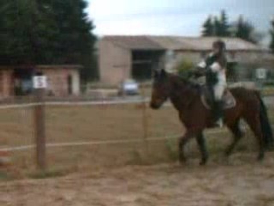 CLIP0010