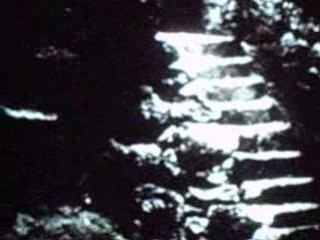 Liberta per i capelli