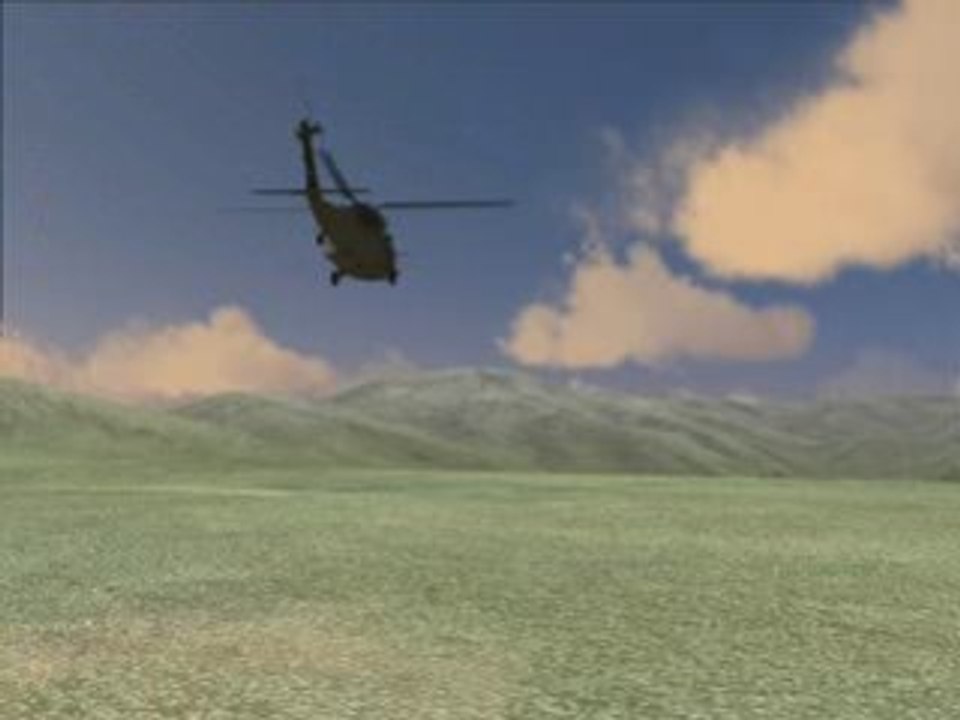 Op. Cobra II