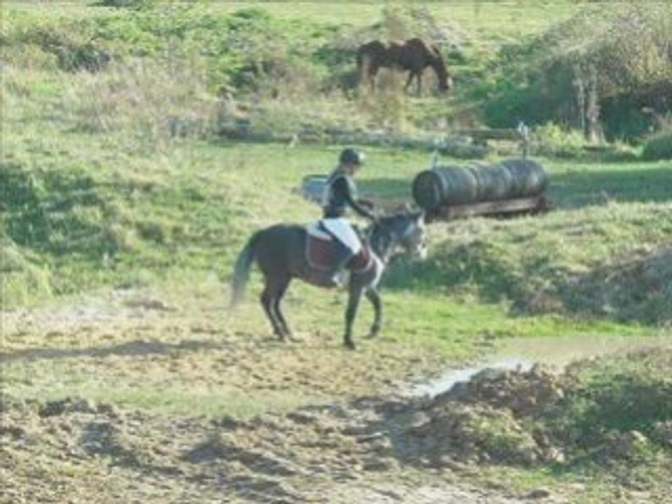 20oct2088 dress CCE longvillier