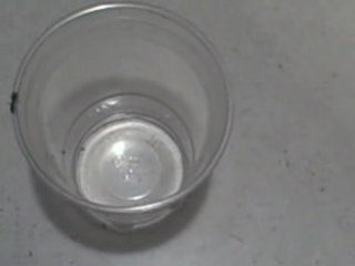 Unlimited $20 Cash Gifts to Your Paypal! Call 248-479-1266