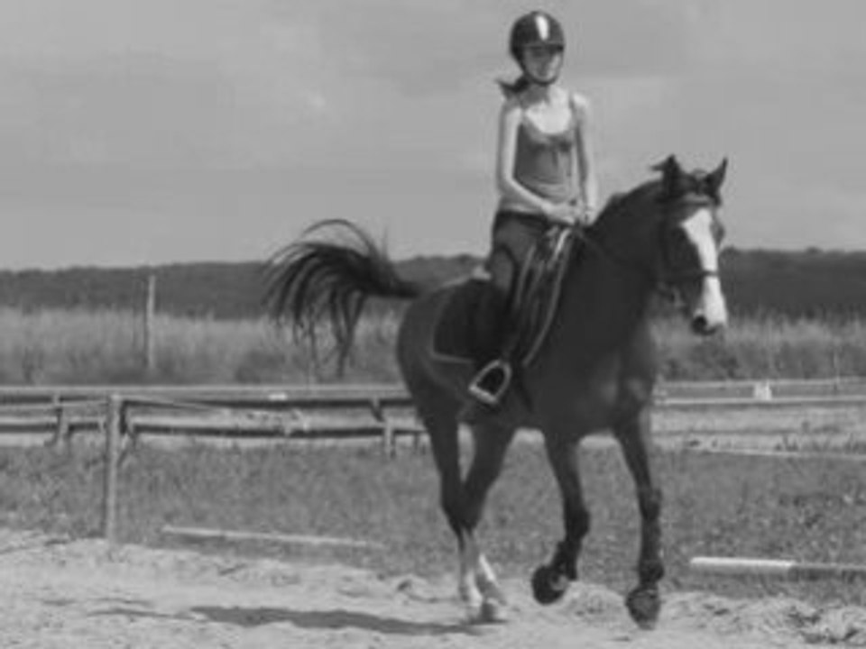 Violette et Flipper par Manon