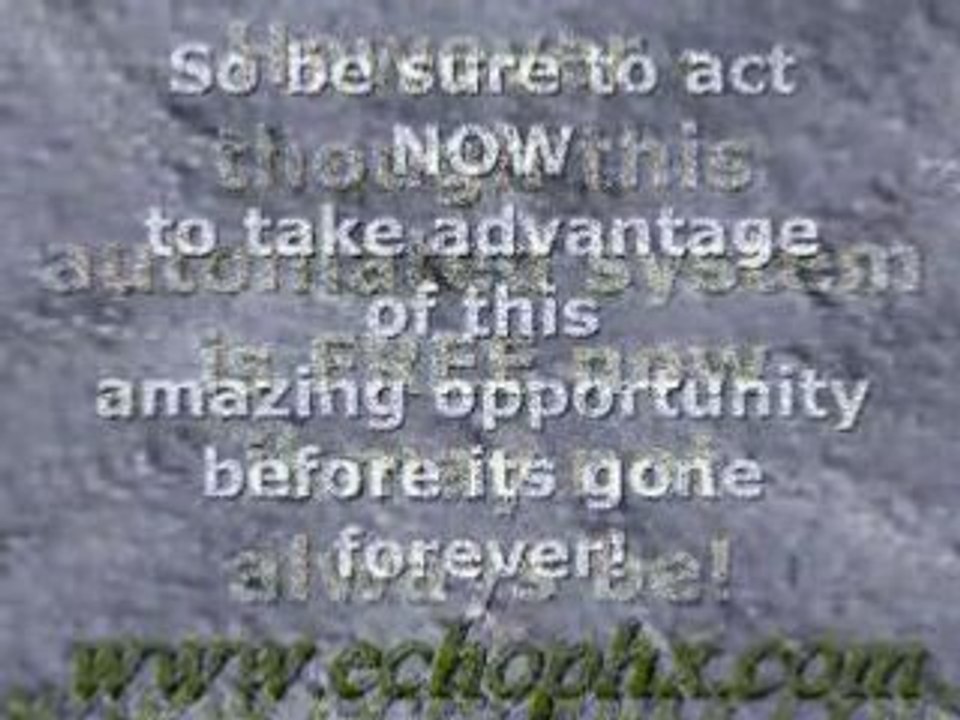 RiskFreeWealth Movie