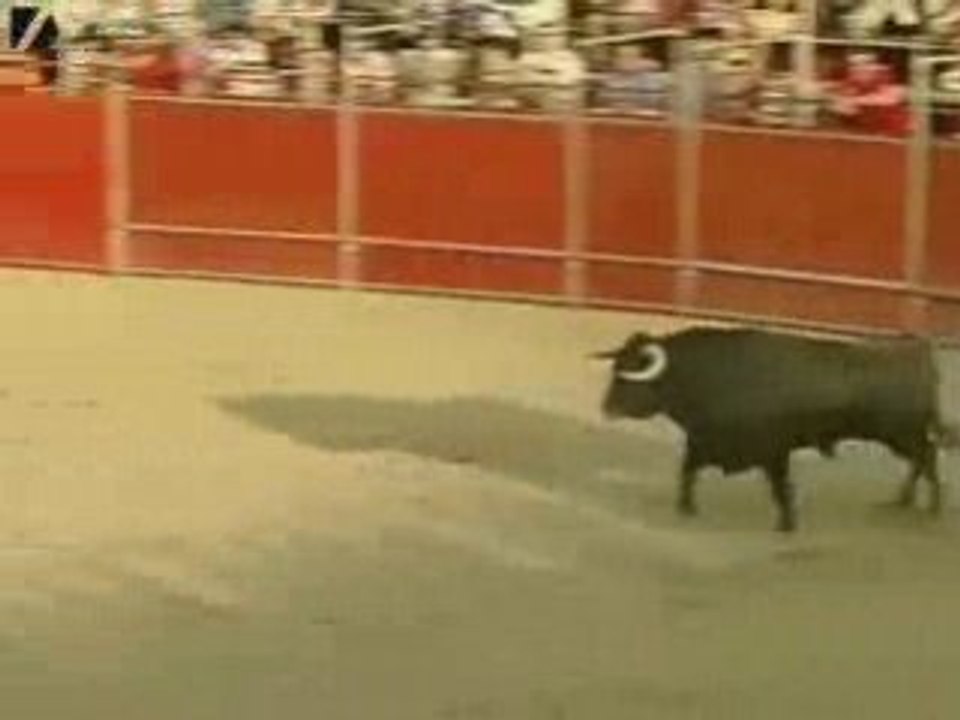 TORO