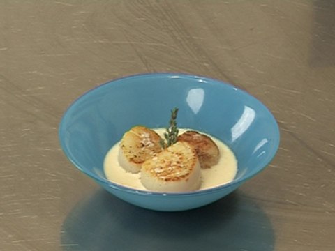 Saint-Jacques rôties, jus de poulette émulsionné