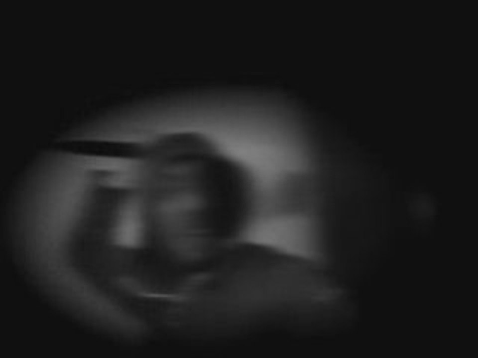 Trailer horror